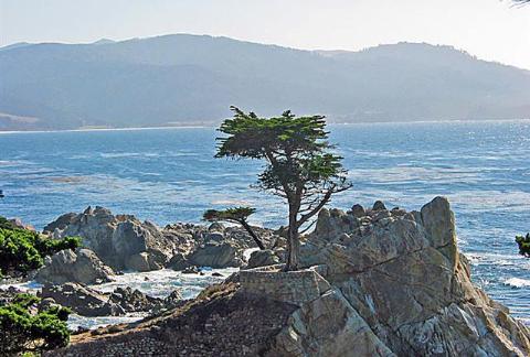 Recorriendo California: Monterey