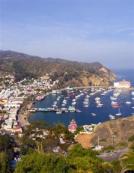 Recorriendo California: Isla Santa Catalina