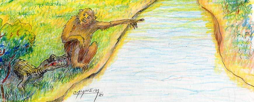 El mono y el yacaré. Dibujo Angelo Calamera
